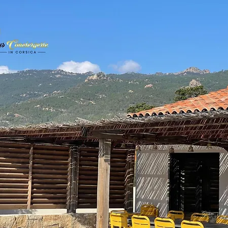 Plein Pied 8 Pers Piscine Chauffee Privee Proche San Cipriano Cala Rossa Climatisation Wifi Βίλα Lecci